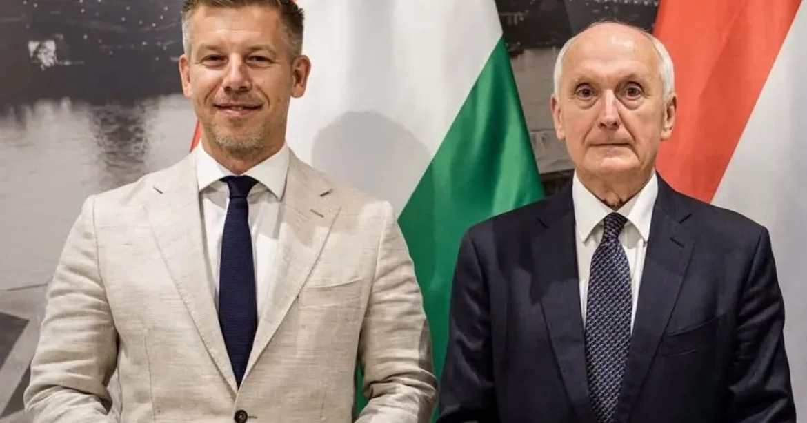 Magyar Péter és Baka András új államtitkárt és kórházvezetőt nevezett ki