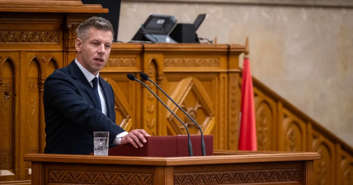 Magyar Péter szerint Hornung Ágnes javasolhatta Vásárhelyi János kitüntetését
